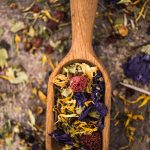 Taller: Creando abundancia con energía botánica